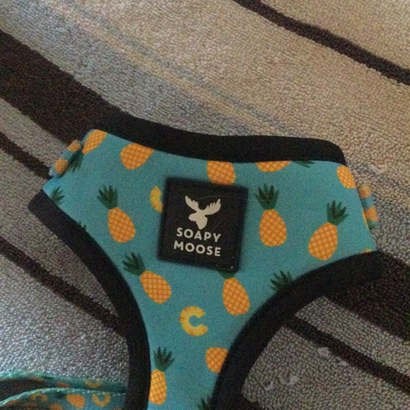 Soapy Moose harness and leash set, EEEEEEEEEUC - Picture 3 of 4